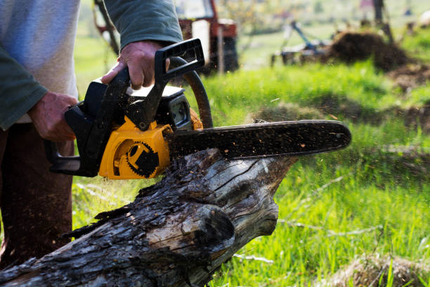 Best Soil Testing and Treatment  in Colonial Rk, PA