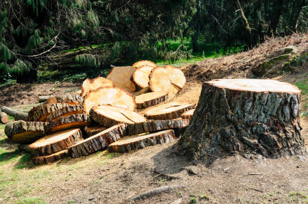  Colonial Rk, PA Tree Care Pros